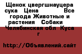 Щенок цвергшнауцера сука › Цена ­ 25 000 - Все города Животные и растения » Собаки   . Челябинская обл.,Куса г.